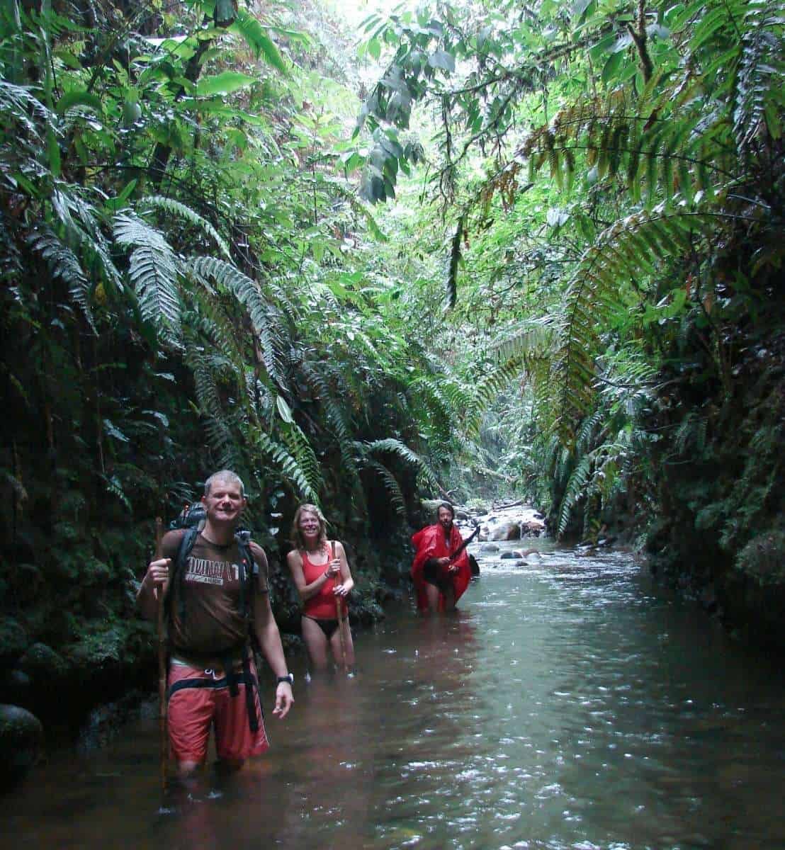 Excursion Chimborazo: Bike tour from Atillo to Amazon (1 day)