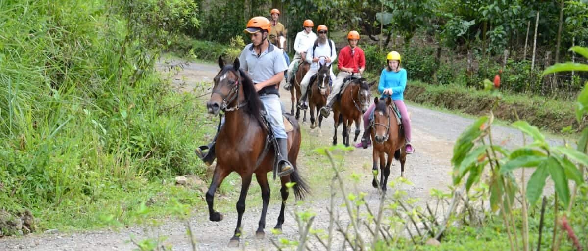 Excursion-Mindo: Horse riding in Mindo