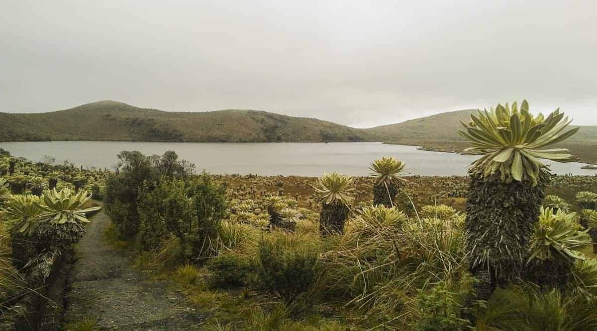 Excursion-Otavalo: El Angel National Park – return by train