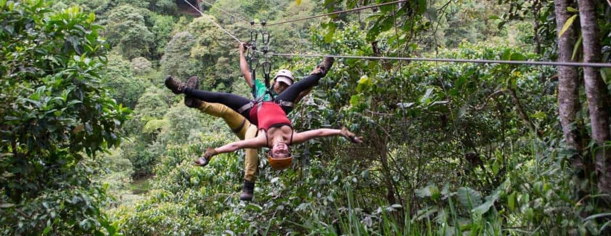 Excursion-Quito: Day trip cloud forest from Mindo