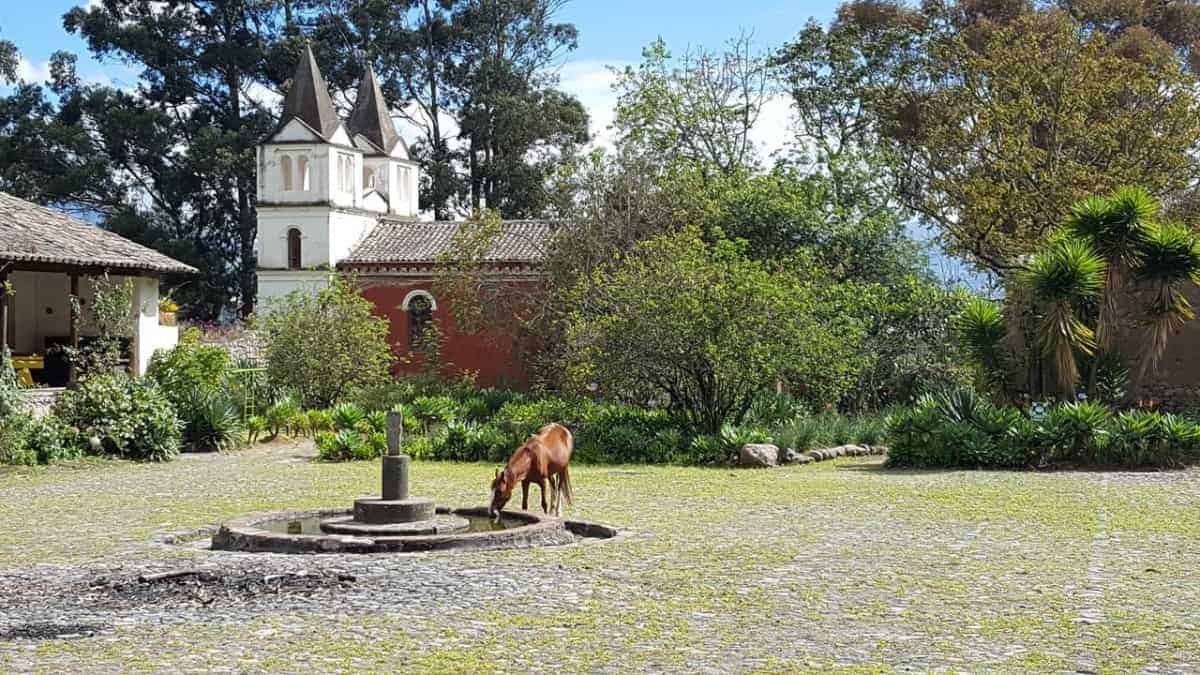 Excursion-Quito: Visit to Hacienda Guachala (Cangahua)