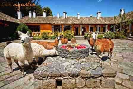 hotel-cotopaxi-san agustin