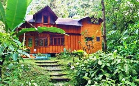 hotel-mindo-mindo garden