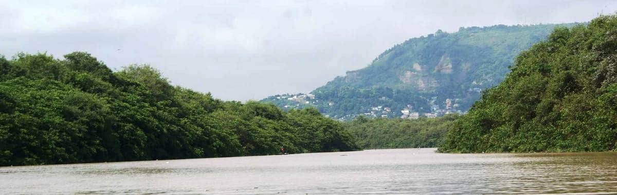 National Park Rio Esmeraldas