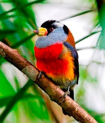 Sample Tours Birding Trip