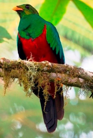 Sample Tours Birding Trip