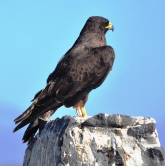 Sample Tours Birding Trip