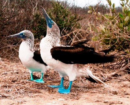 Sample Tours Birding Trip
