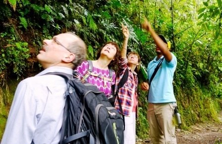Sample Tours Hiking
