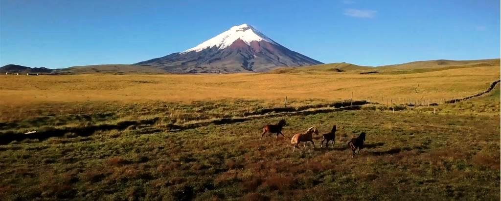 Blogv-vLonely Planet